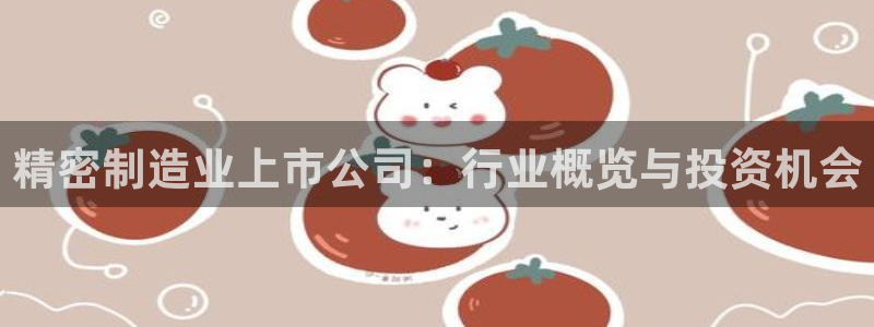 彩神通关注码金码对应码：精密制造业上市公司：行业概览与投资机会