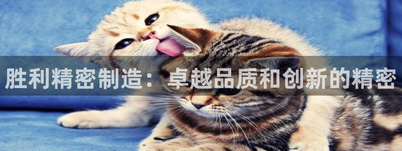 下载彩神争霸谁与我争锋：胜利精密制造：卓越品质和创新的精密