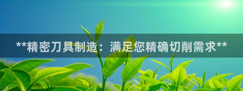 彩神vll购彩大厅大众：**精密刀具制造：满足您精确切削需求**