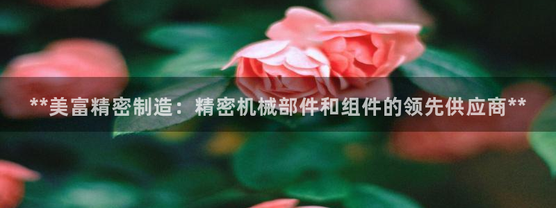 彩神盈利图片：**美富精密制造：精密机械部件和组件的领先供应商**