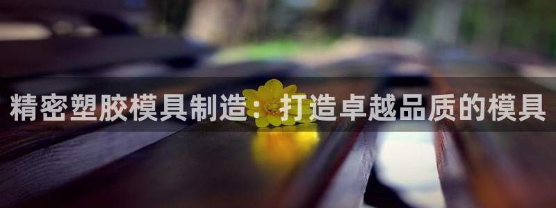 彩神通官网下载：精密塑胶模具制造：打造卓越品质的模具