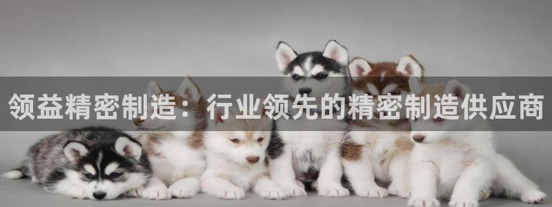 彩神网合法吗：领益精密制造：行业领先的精密制造供应商