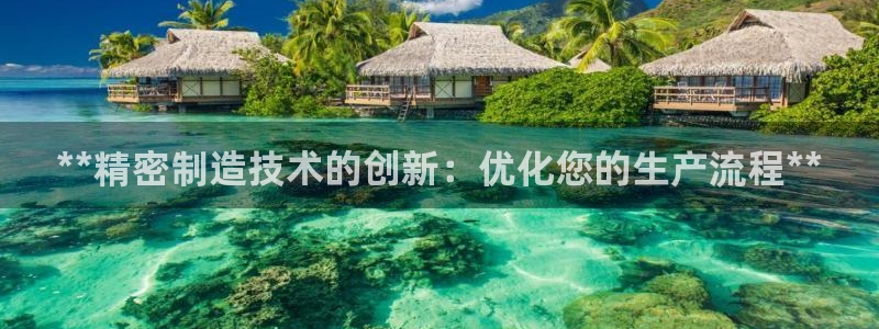 彩神vll趣投彩：**精密制造技术的创新：优化您的生产流程**