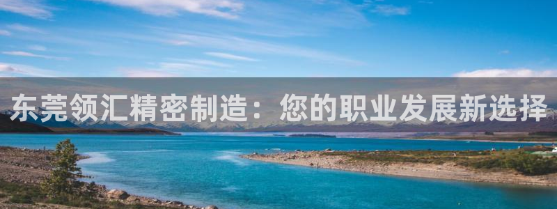 彩神v8客户端：东莞领汇精密制造：您的职业发展新选择