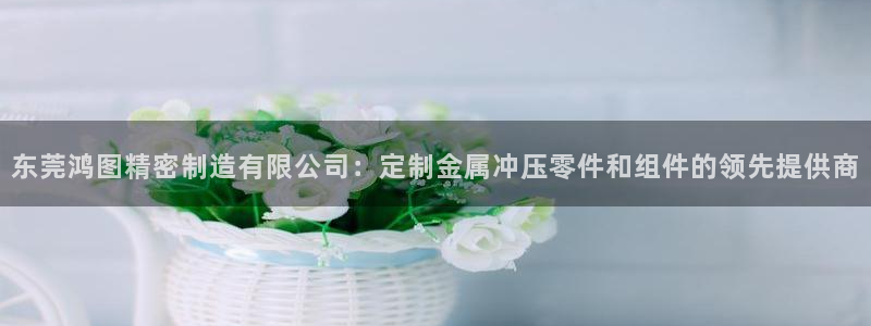 彩神iv是正规平台吗?：东莞鸿图精密制造有限公司：定制金属冲压零件和组件的领先提供商