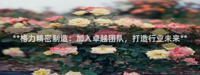 彩神v8app：**格力精密制造：加入卓越团队，打造行业未来**