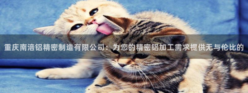 彩神vlll游戏特色：重庆南涪铝精密制造有限公司：为您的精密铝加工需求提供无与伦比的
