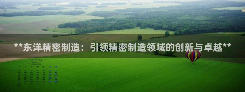 彩神ix平台：**东洋精密制造：引领精密制造领域的创新与卓越**
