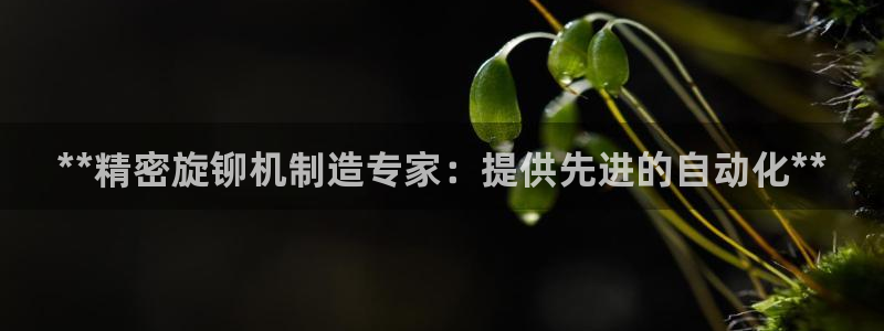 彩神购彩-购彩大厅入口计划群：**精密旋铆机制造专家：提供先进的自动化**