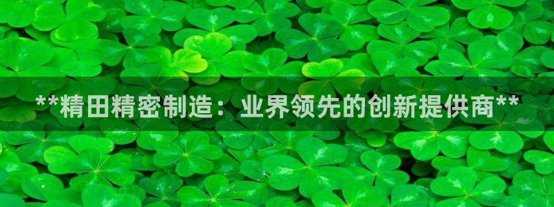 彩神v天天：**精田精密制造：业界领先的创新提供商**