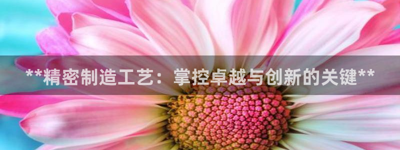 所有彩神购买首页：**精密制造工艺：掌控卓越与创新的关键**