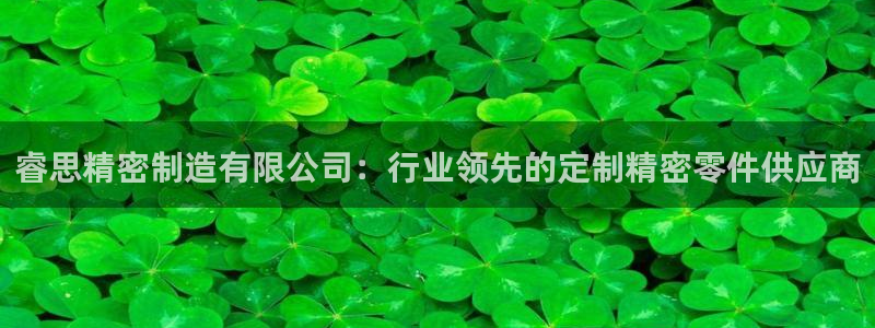 彩神vll官网在线登录：睿思精密制造有限公司：行业领先的定制精密零件供应商