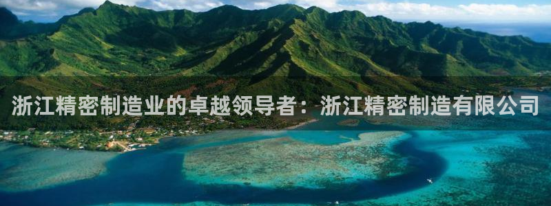 彩神怎么才能赢：浙江精密制造业的卓越领导者：浙江精密制造有限公司