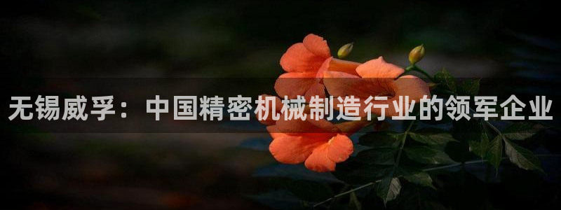 彩神天下专家专栏：无锡威孚：中国精密机械制造行业的领军企业