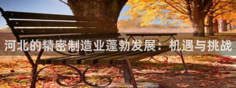 彩神app能挣到钱吗：河北的精密制造业蓬勃发展：机遇与挑战