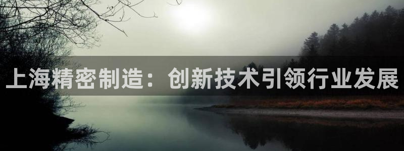 下载彩神乐发V1：上海精密制造：创新技术引领行业发展