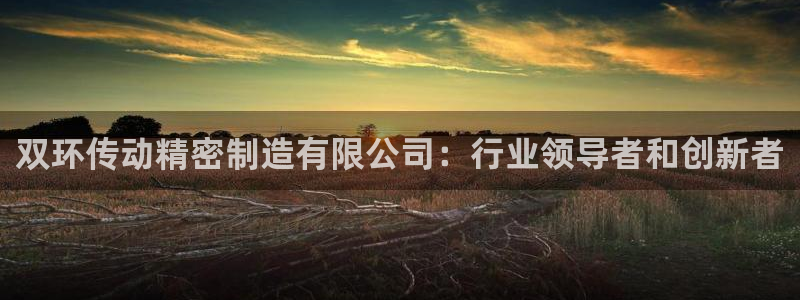 彩神vl购彩大厅：双环传动精密制造有限公司：行业领导者和创新者