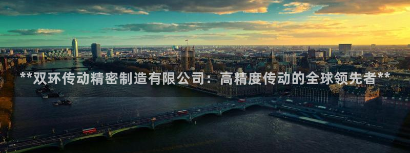 彩神ix官网：**双环传动精密制造有限公司：高精度传动的全球领先者**