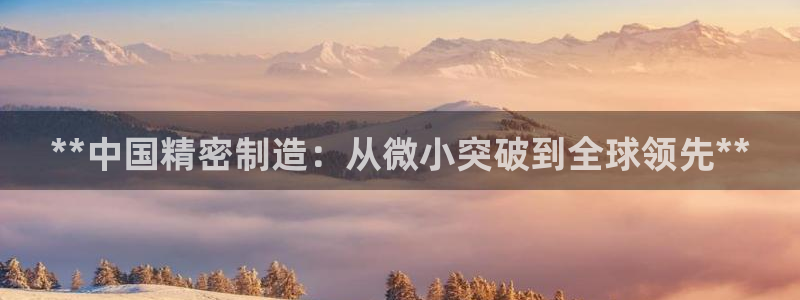 彩神赢了钱登录不上去：**中国精密制造：从微小突破到全球领先**