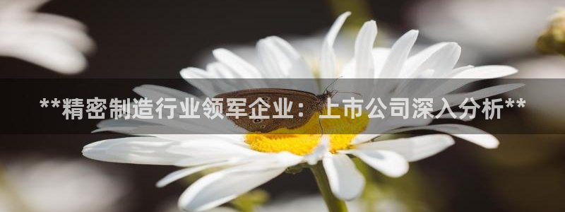彩神v8有多久了?靠谱吗：**精密制造行业领军企业：上市公司深入分析**