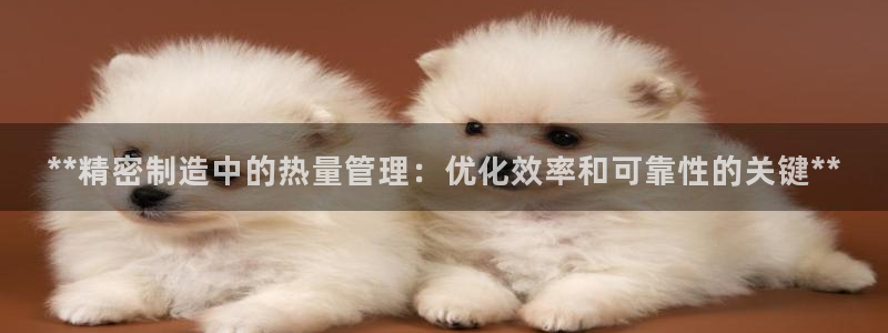 彩神v平台：**精密制造中的热量管理：优化效率和可靠性的关键**