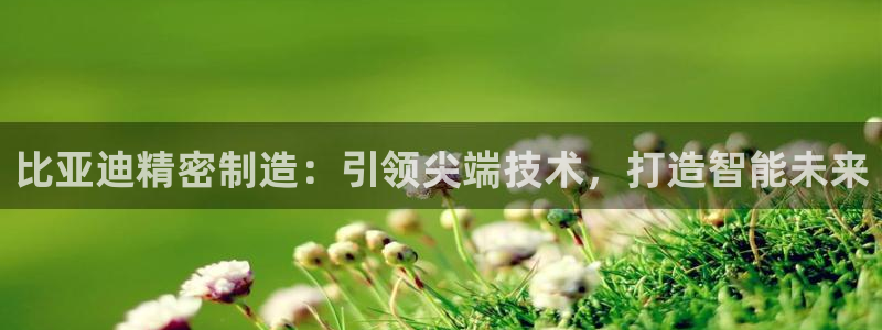 彩神购彩-购彩大厅入口下载