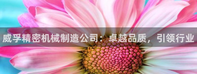 彩神赢钱了吗知乎：威孚精密机械制造公司：卓越品质，引领行业