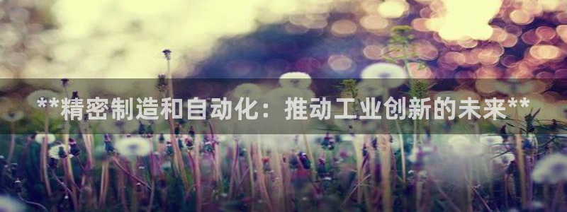 彩神骗局：**精密制造和自动化：推动工业创新的未来**