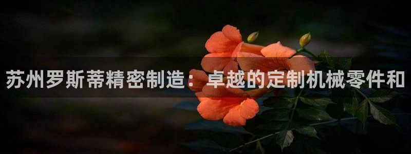 彩神是怎样一个平台：苏州罗斯蒂精密制造：卓越的定制机械零件和