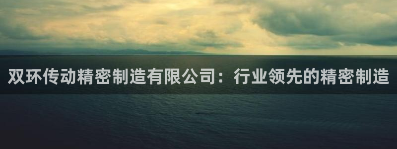 彩神v8平台正规吗：双环传动精密制造有限公司：行业领先的精密制造