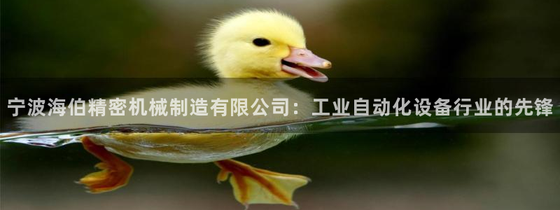 彩神购彩-购彩大厅入口：宁波海伯精密机械制造有限公司：工业自动化设备行业的先锋