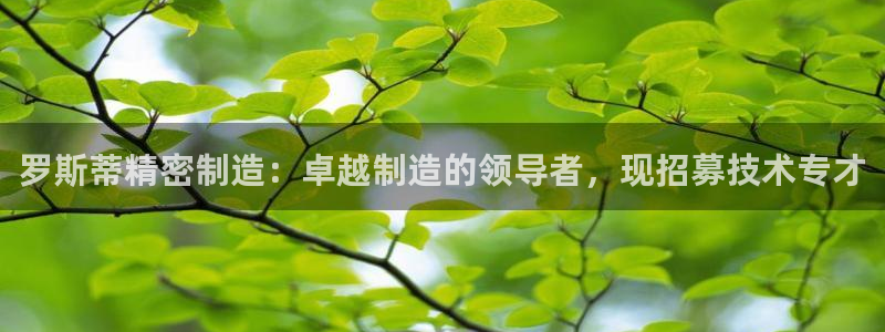 v彩神88iii：罗斯蒂精密制造：卓越制造的领导者，现招募技术专才
