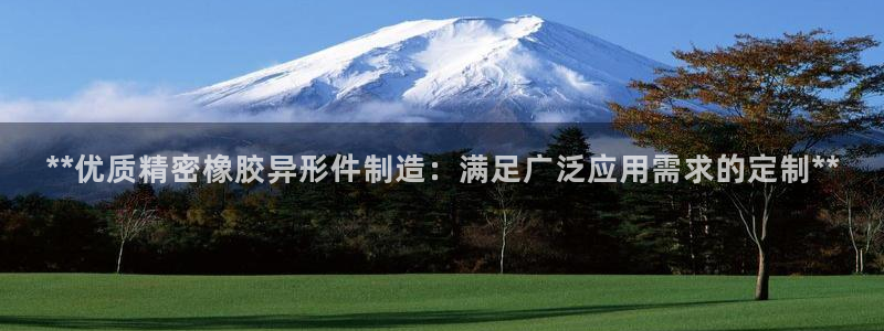 新版彩神v8登录不了：**优质精密橡胶异形件制造：满足广泛应用需求的定制**