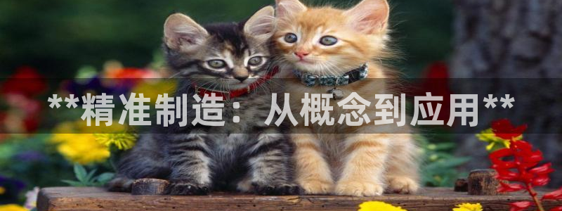 彩神vip购彩大厅在哪：**精准制造：从概念到应用**
