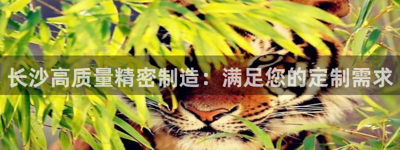 彩神v8首页