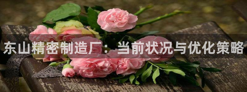 彩神V8有限公司：东山精密制造厂：当前状况与优化策略