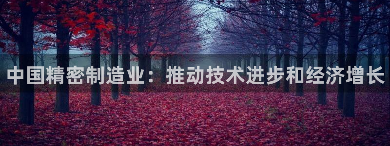彩神v8是一个什么平台