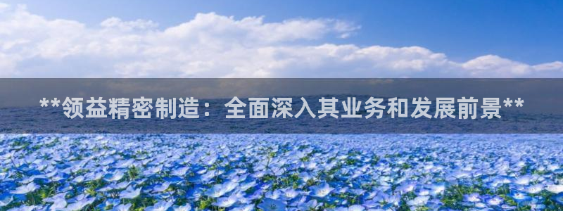彩神vii官网：**领益精密制造：全面深入其业务和发展前景**