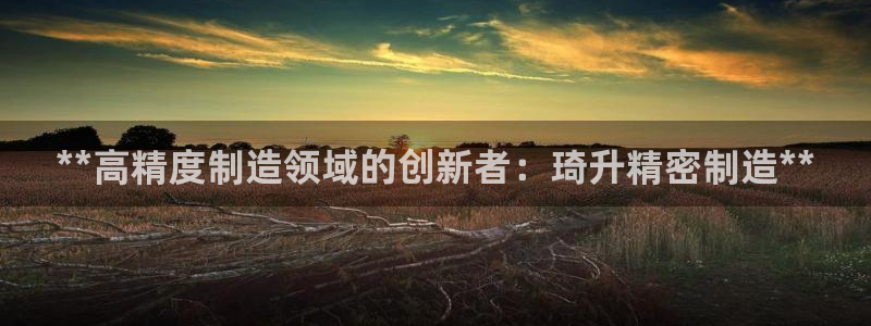 彩神天下专家专栏：**高精度制造领域的创新者：琦升精密制造**