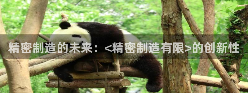 下载彩神争霸谁与我争锋：精密制造的未来：<精密制造有限>的创新性