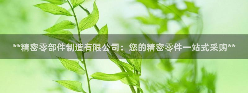 彩神v8有多久了?靠谱吗：**精密零部件制造有限公司：您的精密零件一站式采购**