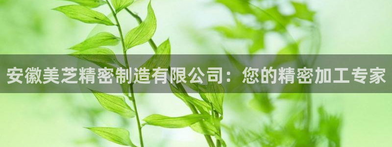 彩神v8iii：安徽美芝精密制造有限公司：您的精密加工专家