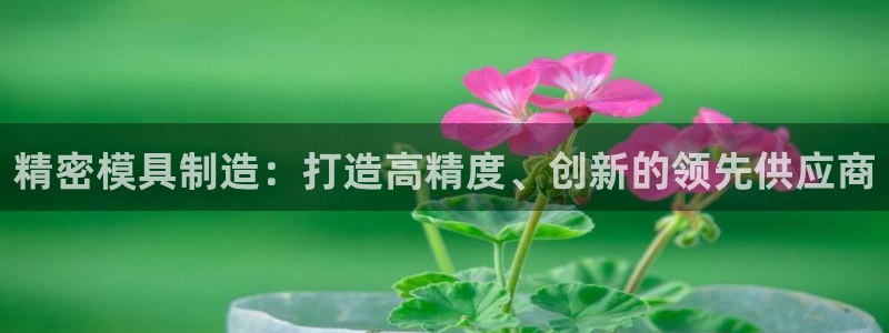 彩神v8是真的挣钱吗