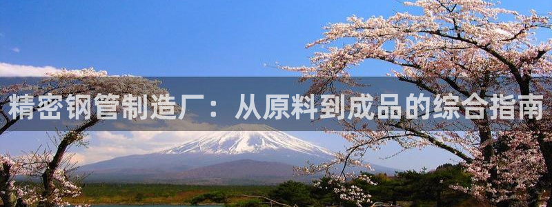 彩神争霸官方下载