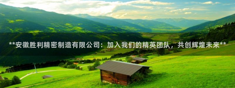 彩神购彩-购彩大厅入口娱乐首选：**安徽胜利精密制造有限公司：加入我们的精英团队，共创辉煌未来**