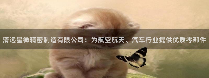 彩神争霸老平台：清远星微精密制造有限公司：为航空航天、汽车行业提供优质零部件