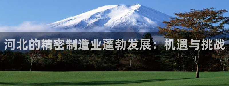 彩神v8下载网址：河北的精密制造业蓬勃发展：机遇与挑战