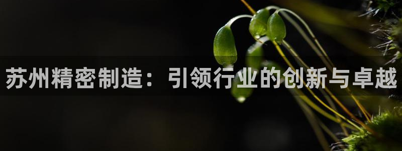 彩神vi争霸官网：苏州精密制造：引领行业的创新与卓越