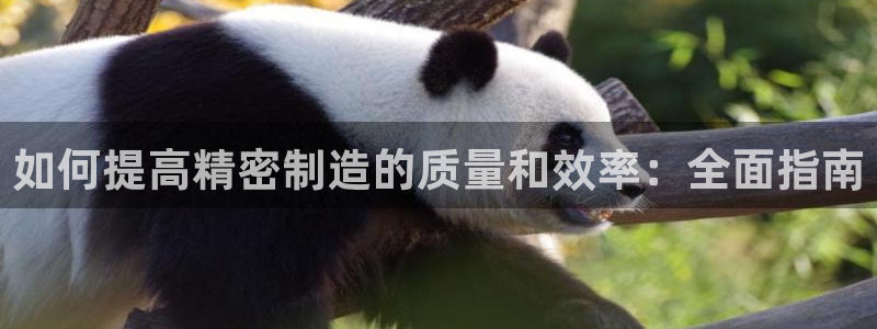 彩神8官网下：如何提高精密制造的质量和效率：全面指南