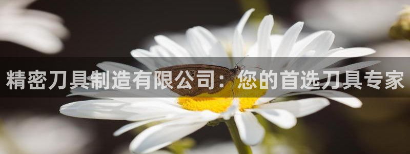 彩神v8是一个什么平台啊